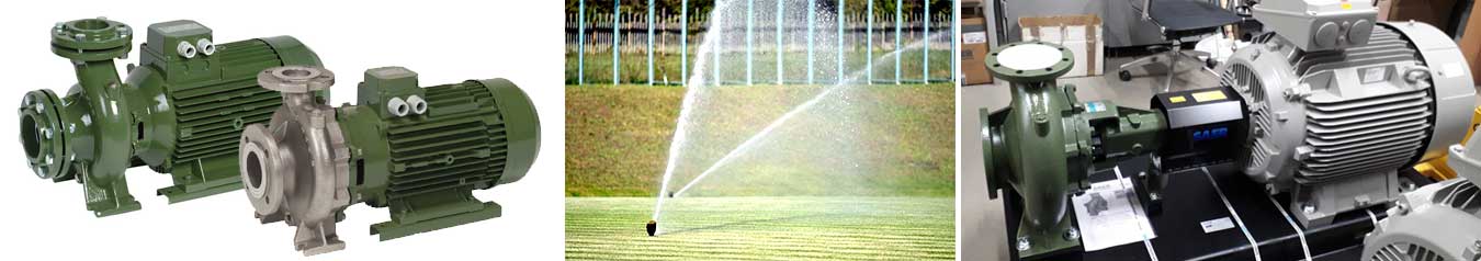 Моноблочні насоси IR для систем поливу на невеликих сільськогосподарських угіддях і садах