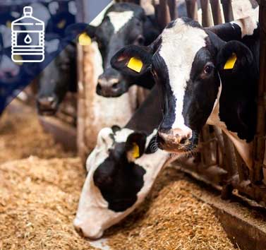 Принципиальная схема химводоочистки и водоснабжения животноводческого комплекса